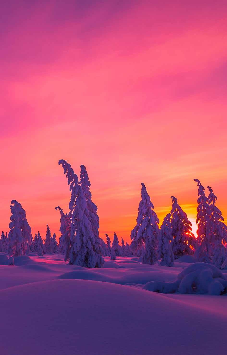 KAIKKI SISÄKÄYTTÖÖN