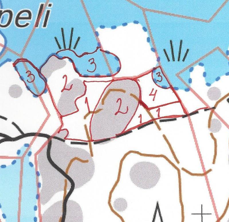 9 Kartta 2: Selvitysalueen pohjoisosan luontotyypit Numero 1 on mustikkatyypin tuoretta kangasta, numero 2 on karua merenrantakalliota, numero 3 on ruovikkoa ja numero 4 on puna-ailakkityypin