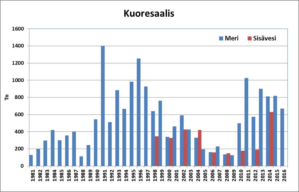 Särkikaloja ja kuoretta