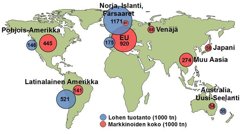 Atlantin lohen kokonaistuotannon kehitys Norjan tuotanto kasvaa edelleen.