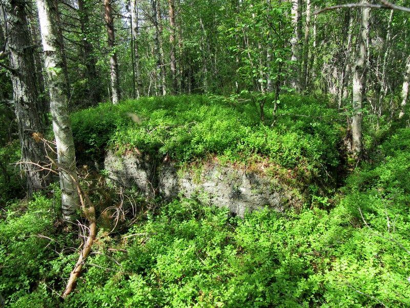 Kivinen paikoitellen soistunut kangas.