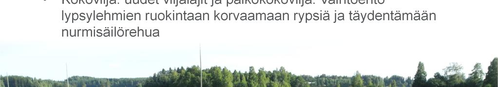 Maidontuotannon hyvät käytännöt ja uudet toimintamallit (2) Tilojen rehuhuolto ja urakointimahdollisuudet Selvitetään pilottitilojen rehulogistiikkaratkaisut ja käyttävätkö urakointia Kartoitetaan