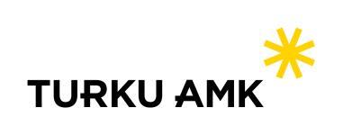 Liite 4 (1) TURUN AMMATTIKORKEAKOULU Ylempi ammattikorkeakoulututkinto/terhy KYSELYN SAATEKIRJE Päiväys 30.9.