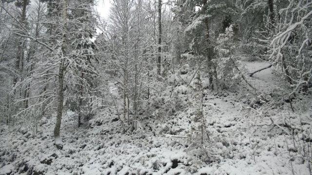 4 Viranomaisyhteistyö Viranomaisneuvottelu MRL 66 ja 77 pidettiin ELY-keskuksen, kaupungin ja kaavoittajan edustajien kesken 15.3.2017 (ei huomautettavaa hankkeesta). 4.4 Yleiskaavan tavoitteet 4.4.1