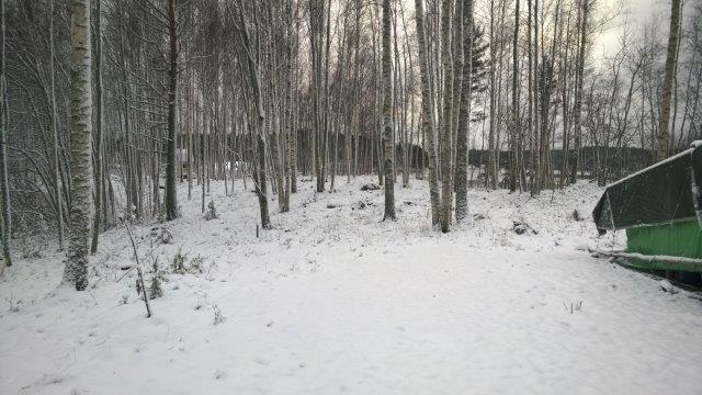 Siirron kohteena olevan alueen rantaa nykyisen rakennuspaikan etelärajalta kuvattuna, ks.