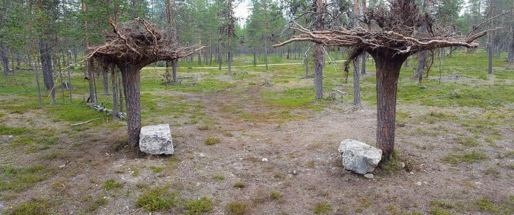 23 Neljäntenä osaprojektina Jouko Alapartanen teki sairaalassa muotokuvapiirustukia tuntipalkalla. Tällaista palvelutoimintaa aiomme kehittää myös muihin tilanteisiin.