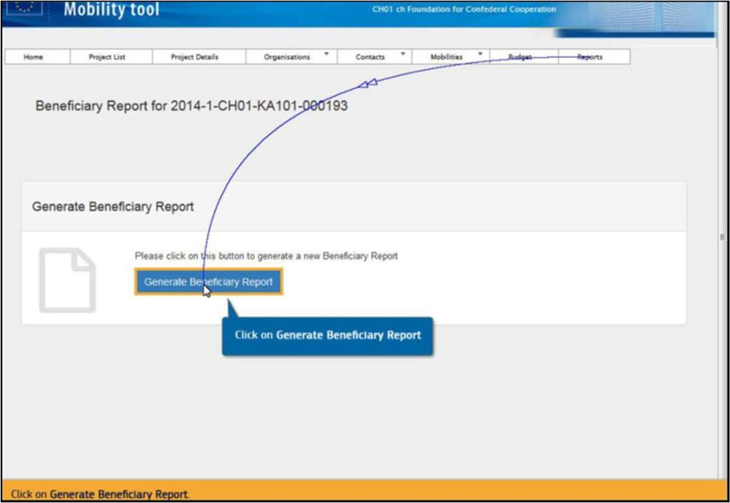 Generate beneficiary report Avaa hanke Mobility Toolissa ja lataa raporttipohja päävalikosta