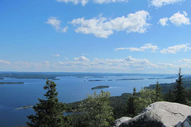 Opas tuntee hyvin paikallisen luonnon ja johdattaa ryhmän retken ajankohtana mielenkiintoisimmille paikoille. Etenemme rauhallista tahtia, joten valokuvaamiseen ja luonnon kokemiseen on aikaa.