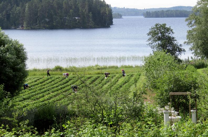 Kierrokset lähtevät Vanhan Kaivoksen infolta ja sisältyvät aluelipun hintaan. Kesto noin 1,5h. Ennakkovarausta ei tarvita. Kierrokset ovat suomeksi.