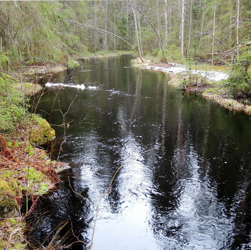 RAPORTTEJA 21 2018 Hanhijärven valuma-alueen vedenlaatu- ja