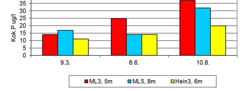 Maitiaislahden näytepisteiden kokonaisfosforipitoisuus (µg/l)