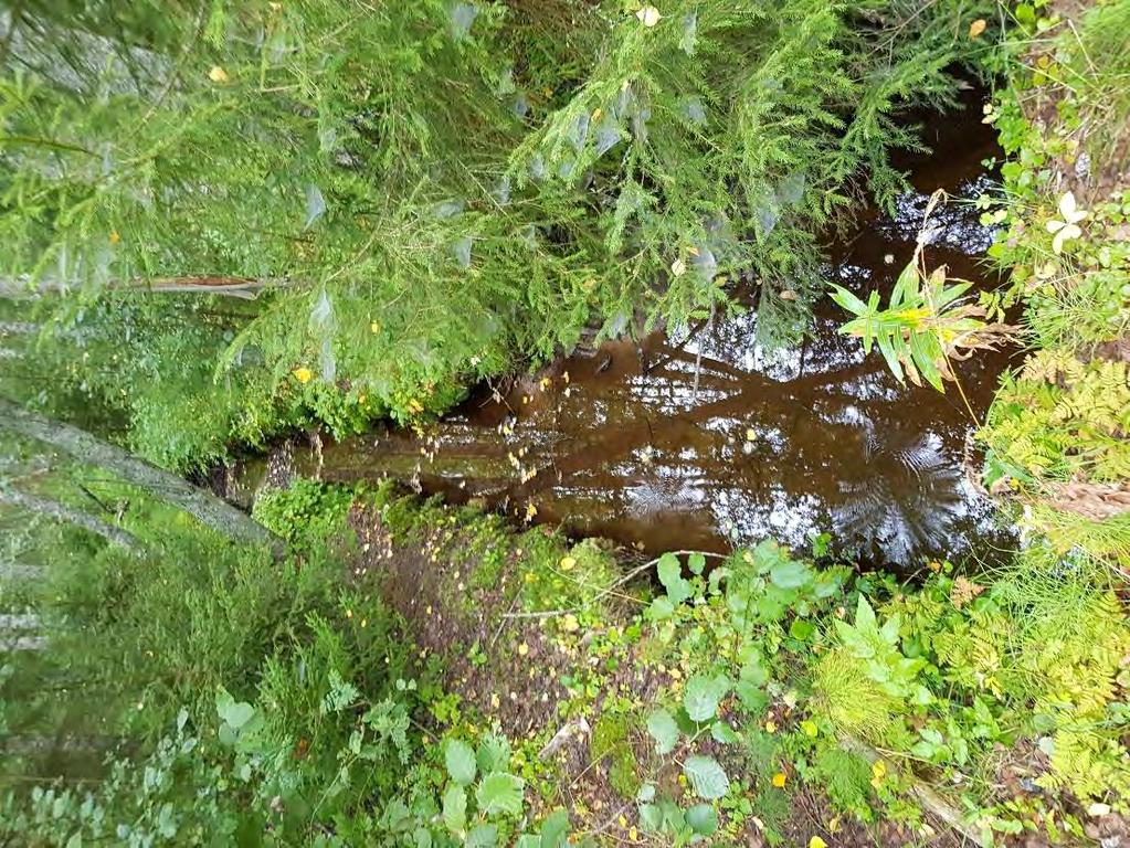 6 Kuva 3: Huosiaspuro Huosiasnotkon ja vedenottamon välillä.