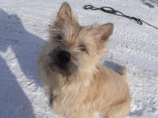 Siivous Putti Torpan vuokraan ei sisälly loppusiivousta eikä liinavaatteita. Pois lähtiessäsi tee loppusiivous mökissä olevien oheiden mukaisesti (sis.