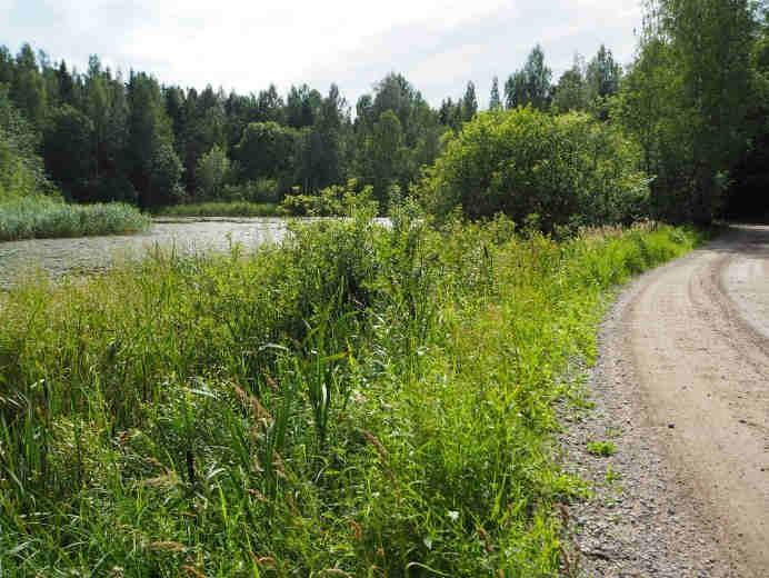 116. HONKALAHTI, JOUTSENO Lappeenranta Eurola vieraili alueella 19.8.