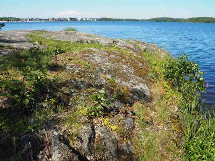 1952 Paikantaminen ja maankäyttö: Näytealana on helposti paikannettava kallio Myllysaaren kärjessä, jota käytetään auringonotto- ja nuotiopaikkana. Kalliota käytettiin uimapaikkana jo 1950-luvulla.