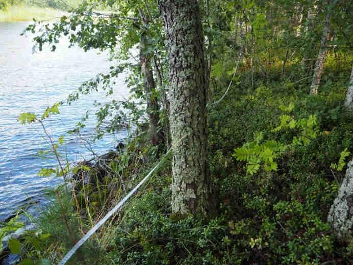 20. ASINSAARI 61.1027, 28.0571 Taipalsaari 17.8.2016 Eurola vieraili alueella 7.8.1953 Paikantaminen ja maankäyttö: Asinsaaressa sijaitsee nykyisin leirikeskus ja saaren ympäri kulkee polku.