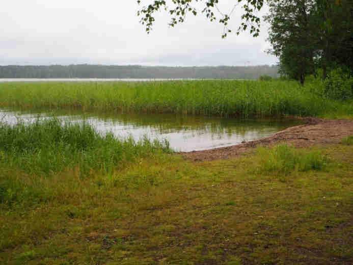 Muutos 1950-luvulta: Kasvillisuudessa ei ole tapahtunut suuria muutoksia. Näytealan edessä on jo vuonna 1953 ollut 20 metriä leveä ja tiheä järviruokokasvusto.