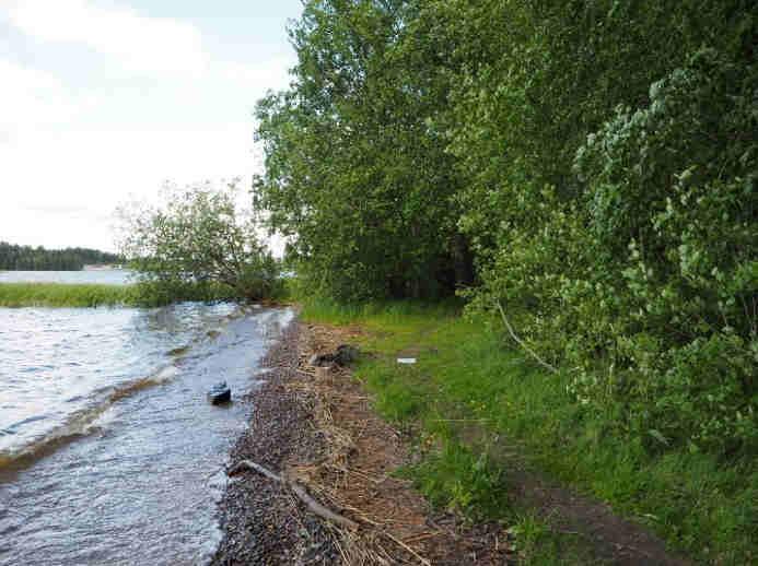 57. HUHTINIEMI 61.057221, 28.148853 Lappeenranta 9.6.2016 Eurola vieraili alueella 18.8.1953 Paikantaminen ja maankäyttö: Alkuperäinen näyteala on sijainnut Huhtiniemessä entisen hyppyrimäen alla ja sitä on käytetty uimarantana.