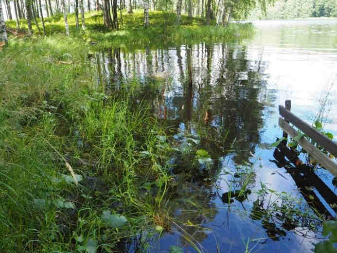 66. 69. LAURITSALA, KAUKAS Lappeenranta Näytealat sijaitsevat nykyisin Kaukaan tehdasalueella, joten kartoitusta varten tarvittaisiin erillinen lupa. Alue on voimakkaasti ihmisen muokkaamaa.