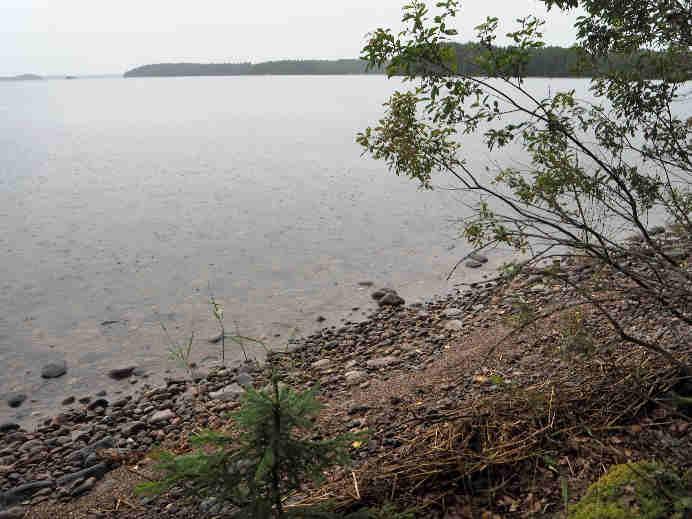 Vuonna 2016 näyteala rajattiin rannansuuntaisesti 20 metriin. Kasvillisuus: Vedessä on laaja ja tiheä (7-9) järviruokokasvusto (Phragmites australis), joka jatkuu järven selälle päin noin 50 metriä.