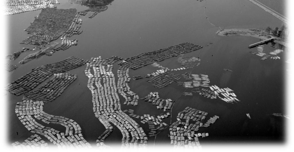 Järveä kuvaa rikkonaisuus ja saarisuus (5 484 saaren yhteiinta-ala on yli puolet järven vesialasta), rantaviivan mutkikkuus, silokalliot uurteineen sekä vanhat muinaisrannat (Turkia 1983).