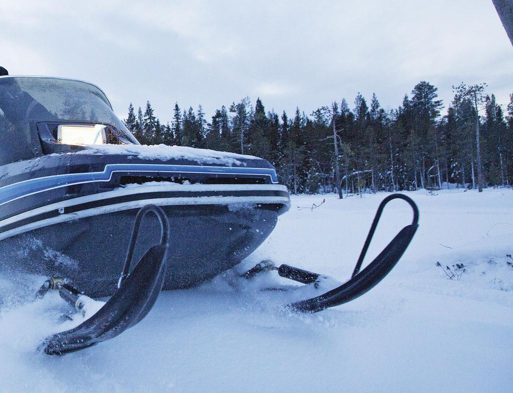 GLX TEKI URAN MUIDEN KULKEA Lynx esitteli vuodelle 1981 erikoisen moottorikelkan, jossa urheilukelkasta tuttuja ominaisuuksia, kuten liukutelasto, yhdistettiin leveätelaiseen hyötykelkkaan.