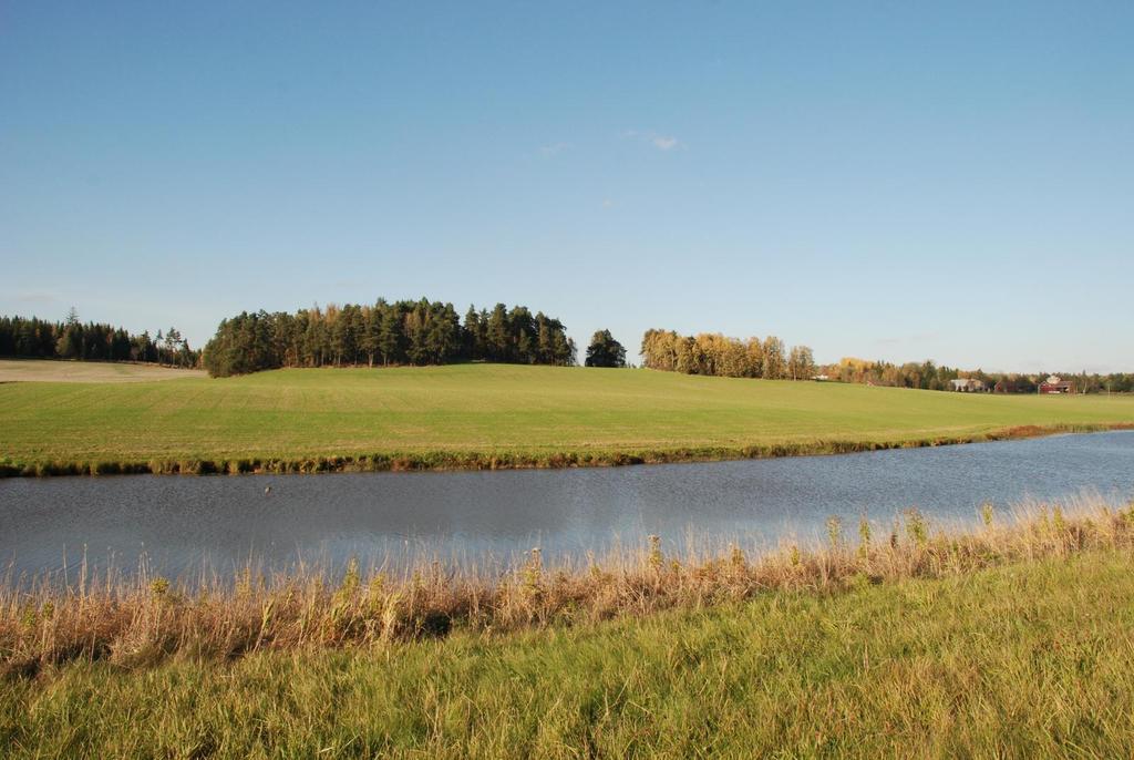 KAARINA RAVATTULA RISTIMÄKI