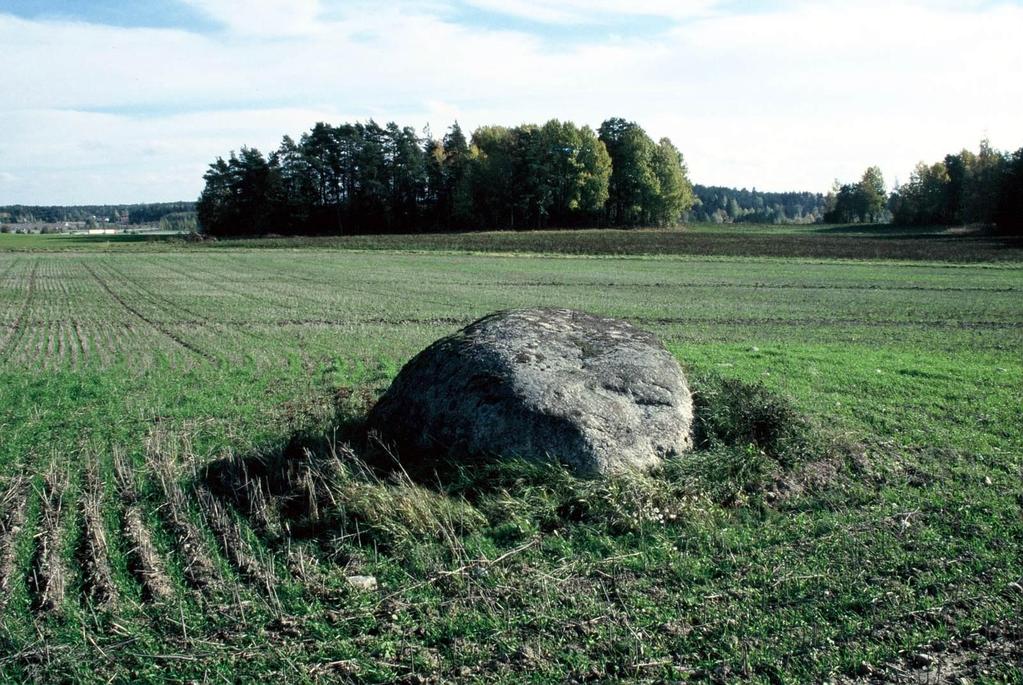 Ristimäen valintaan tutkimuskohteeksi johtivat muun muassa sieltä tehdyt aikaisemmat inventointilöydöt ja -havainnot, paikan kiinnostava nimi ja helppo saavutettavuus sekä hautatutkimusten pitkä