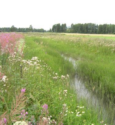 3.3 Luonnonmukainen peruskuivatus tulvatasanteineen Luonnonmukaisella peruskuivatuksella tarkoitetaan luonnonmukaisten menetelmien toteuttamista valtaojien kunnostuksissa sekä huollossa ja