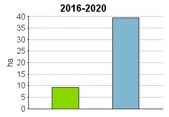 UPM Metsäsuunnitelma Tulostettu 20.6.