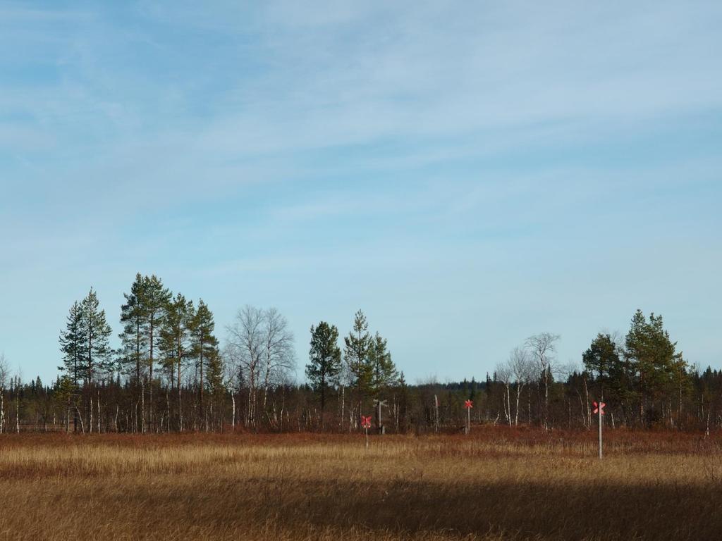 Miten kaivostoiminta liittyy sosiaalityöhön?