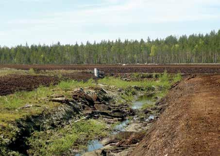 Julkiset hankinnat Julkisilla hankinnoilla on edistettävä toimivaa kilpailua.