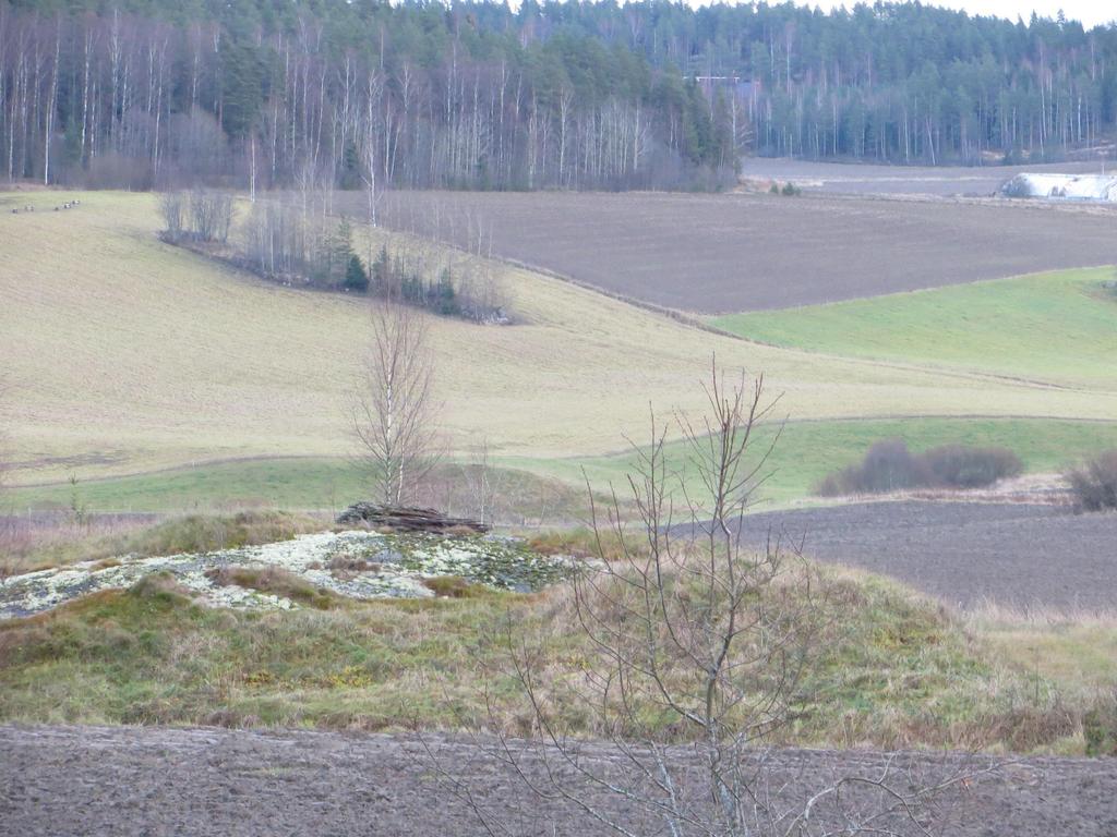 Peltomaan laatutesti