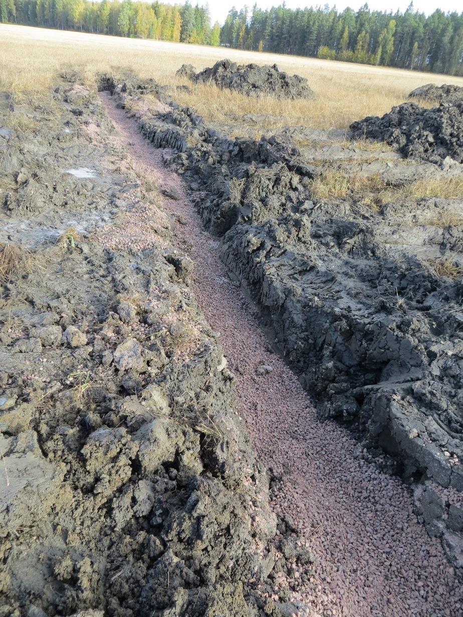 Peltomaan laatutestin itsearviointi Itsearvioinnissa kiinnitetään huomiota kokonaisvaltaisesti pellolla tehtäviin toimenpiteisiin ja pellon kasvukuntoon: Parannustoimet: ojitus ja kalkitus