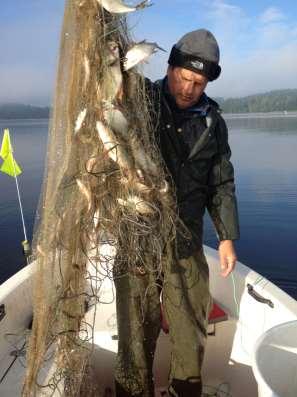 Jokamiehen hoitokalastus Jokainen kalastaja voi omilla valinnoillaan vaikuttaa petokalakantojen runsauteen.