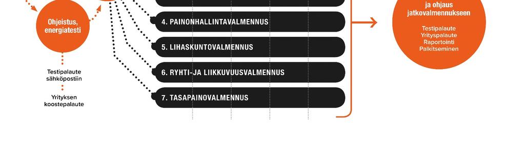 - 4 kk valmennusohjelma toteutetaan kahdesti (9-12/2017 ja