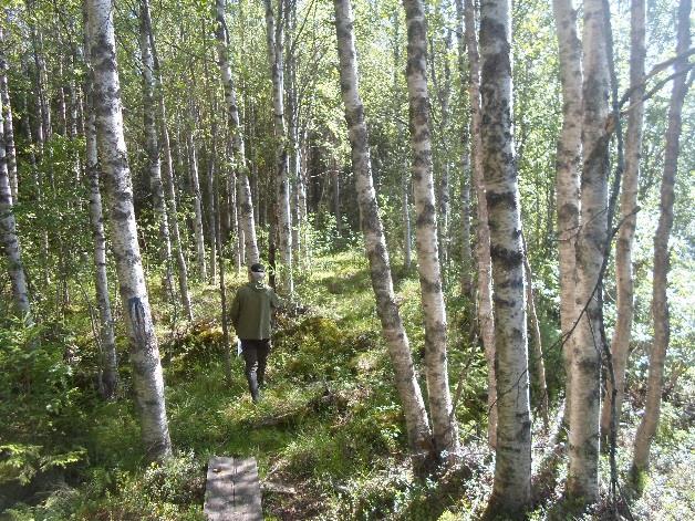 2 Junaradan ympäristö (nro B) maisema, geologia, geomorfologia ja hydrologia Osa-aluetta voidaan luonnehtia geologisesti verraten tasaisen pohjamoreenin alueeksi.