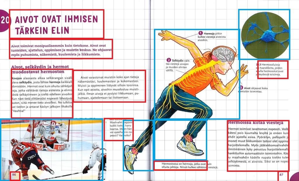 KUVA 2: Viidesluokkalaisille näytetty ensimmäinen aukeama. Kuvaan lisätty ruudukko ja laatikot. Kuvan alkuperäinen lähde: Heinonen ym. 2015a, 86 87.