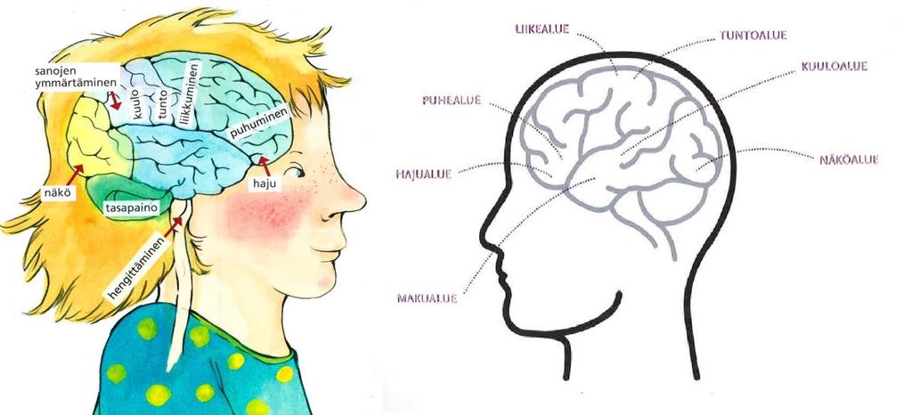 Oppilailta kysyttiin lukemisprosessin konkreettisen kuvauksen ja toiminnallisen aloituksen jälkeen, onko heitä opetuksen avulla ohjattu kiinnittämään huomiota myös oppikirjan kuviin.