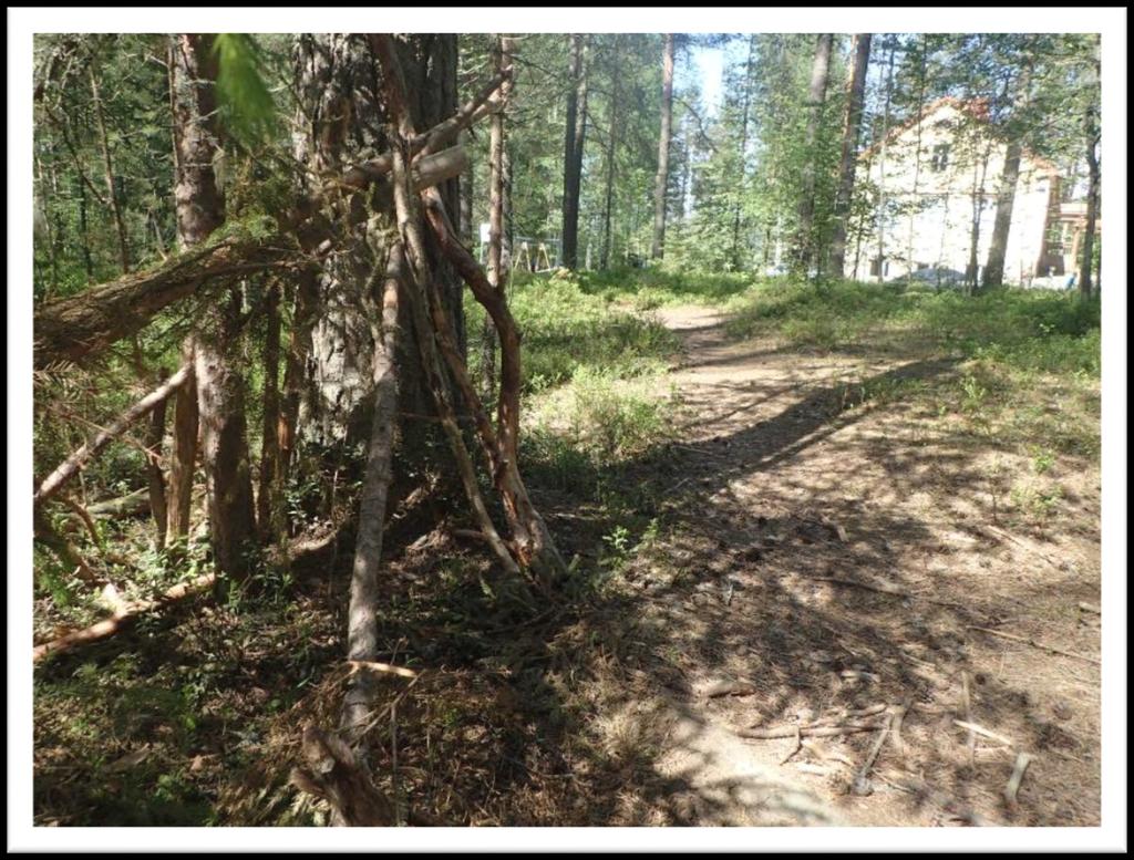 Tekniset vuoropuhelut toukokuussa 2015 Yhteensä 37 toimijaa Muut tekniset vuoropuhelut Hirsitoimittajat CLT- toimittajat Biokaasutoimittajat