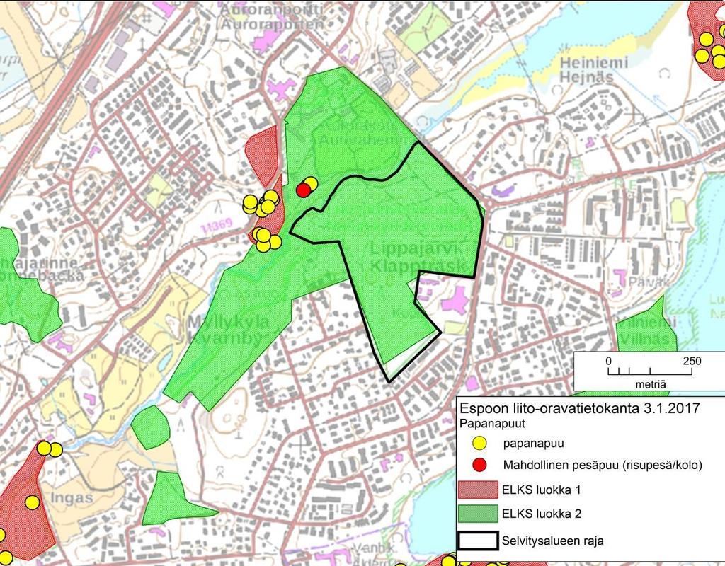 Kuva 4. Liito-orava-alueet (ELKS) ja liito-oravan käyttämät puut Träskändan selvitysalueella ja sen lähiympäristössä. 3.