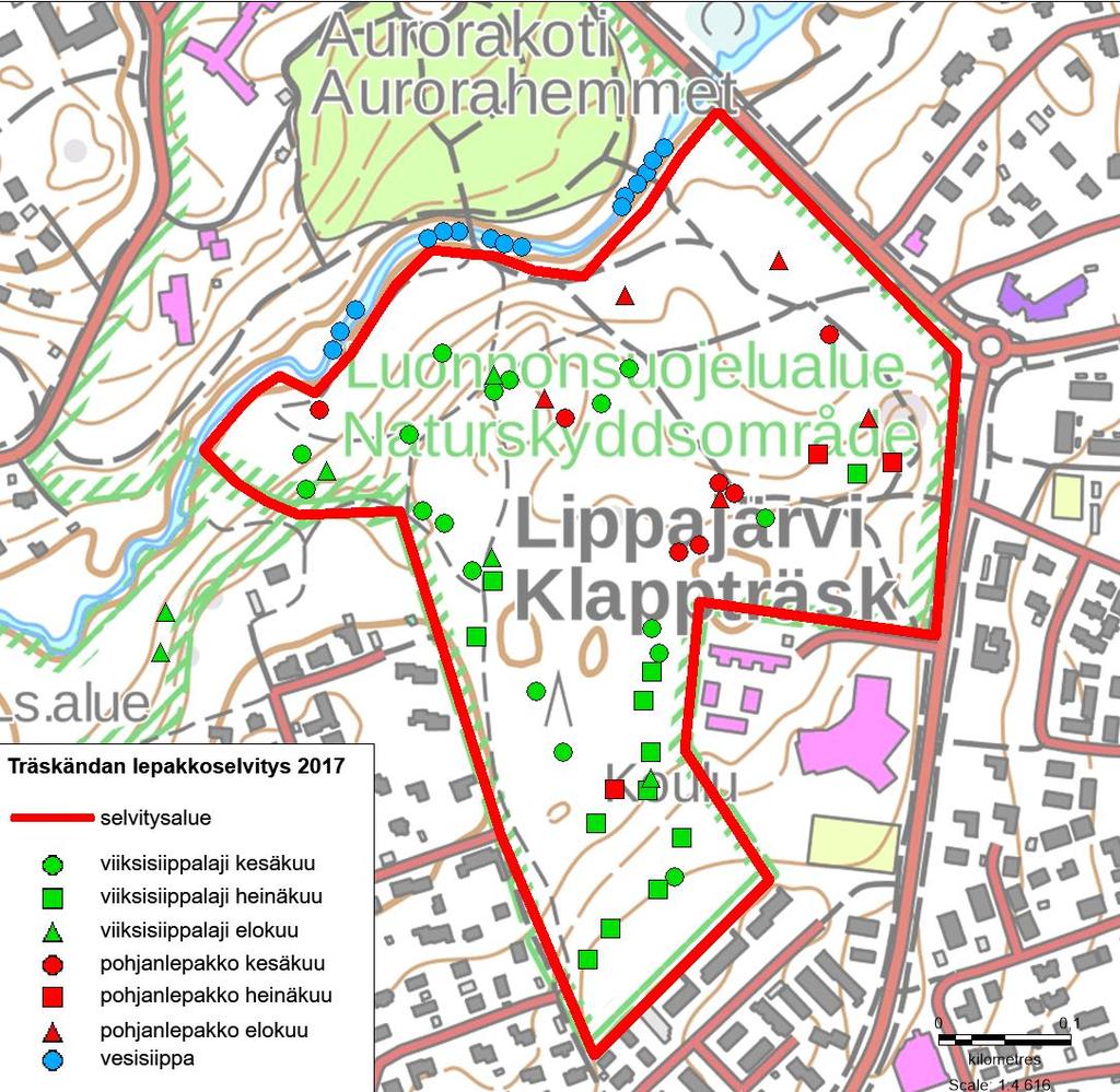 Kuva 6. Lepakoiden aktiivikartoituksen havainnot Träskändan selvitysalueella. Passiivikartoituksen tulokset Passiiviseurantadetektoreihin tallentuneet havainnot on esitetty taulukossa 2.