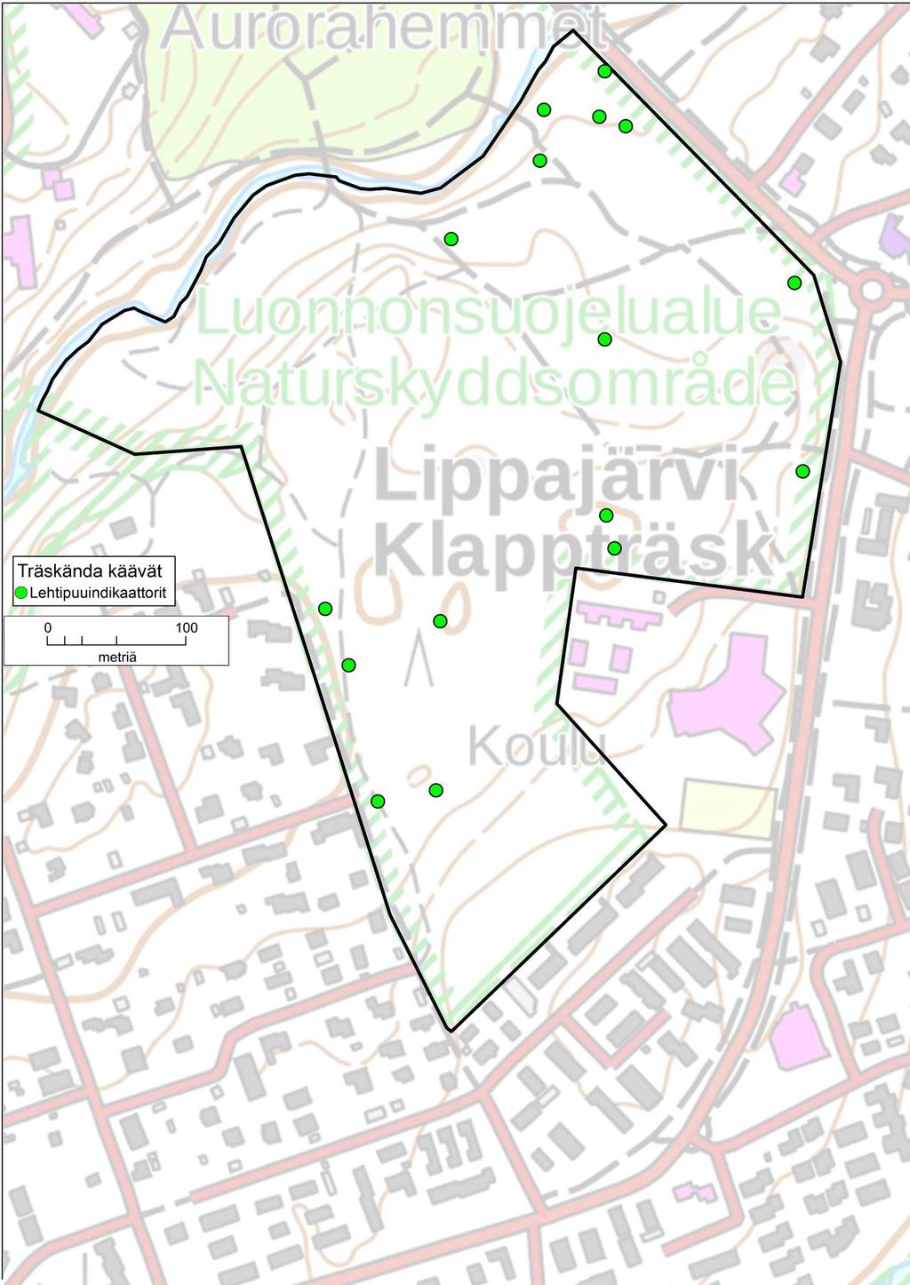 Kuva 12. Selvitysalueella havaitut lehtipuuindikaattorilajien (10 kpl) esiintymät.