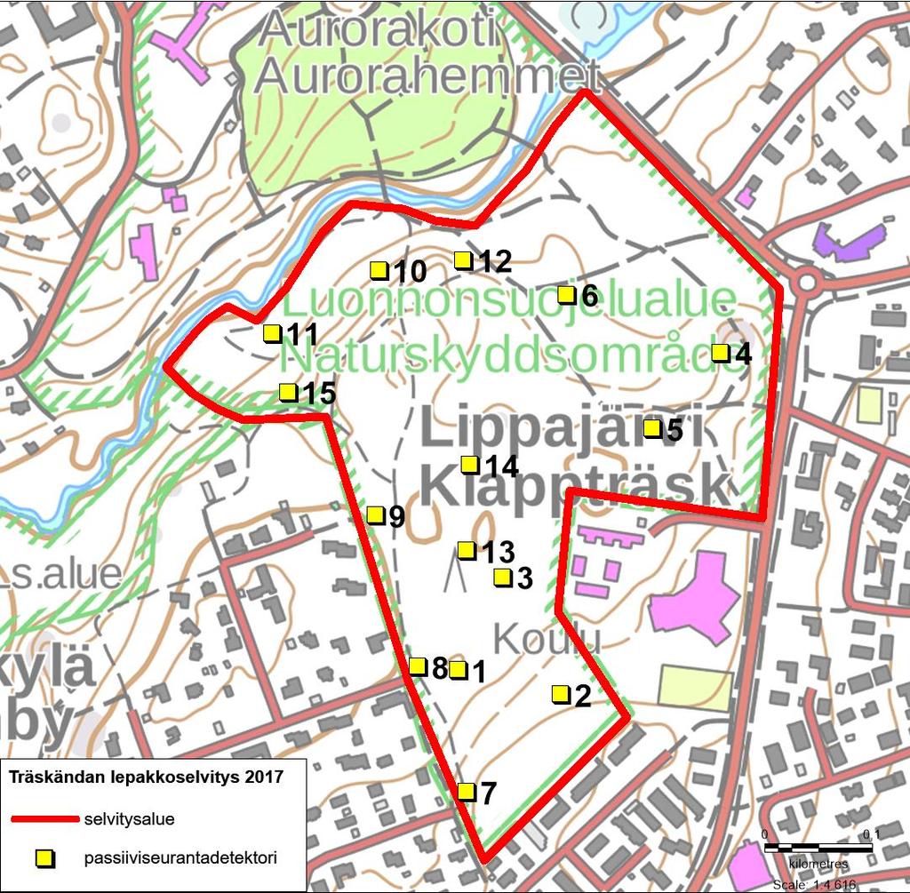 Kuva 3. Lepakoiden passiiviseurantadetektoreiden sijainnit Träskändan selvitysalueella. Epifyyttisammalet ja -jäkälät Selvitysalueen epifyyttisammalia ja -jäkäliä inventoitiin 27.7. ja 2.8. 2017.