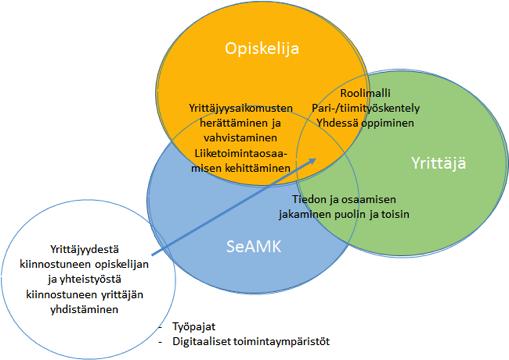 2 TOIMINTAMALLI NAISOPISKELIJOIDEN YRITTÄJYYDEN TUKEMISEEN Hankkeessa kehitetty toimintamalli yhdistää naisopiskelijat, ammattikorkeakoulun asiantuntijat ja naisyrittäjät verkostomaiseen yhteistyöhön.