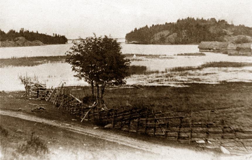 Rannan kunnostus- ja hoitotarpeen arviointi Lähtötilanteen ja ongelmien kartoitus Rannan olosuhteet: