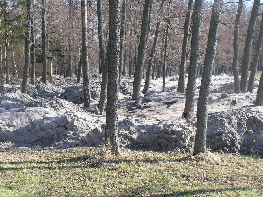 Ruoppausmassan läjitys Paksut läjitysmassat puiden juurilla heikentävät elinvoimaa tai jopa tappavat ne pystyyn.