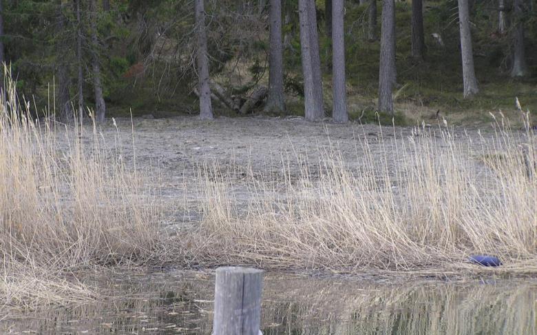 Läjityspaikan maisemointi Massojen tasoittaminen ja muotoilu luonnonmukaisesti mahdollisimman paljon jo levitysvaiheessa Viimeistely, kun
