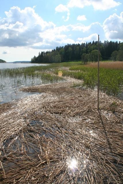 Mikä on tilanne vesistössä laajemmin ja lähivaluma-alueella?