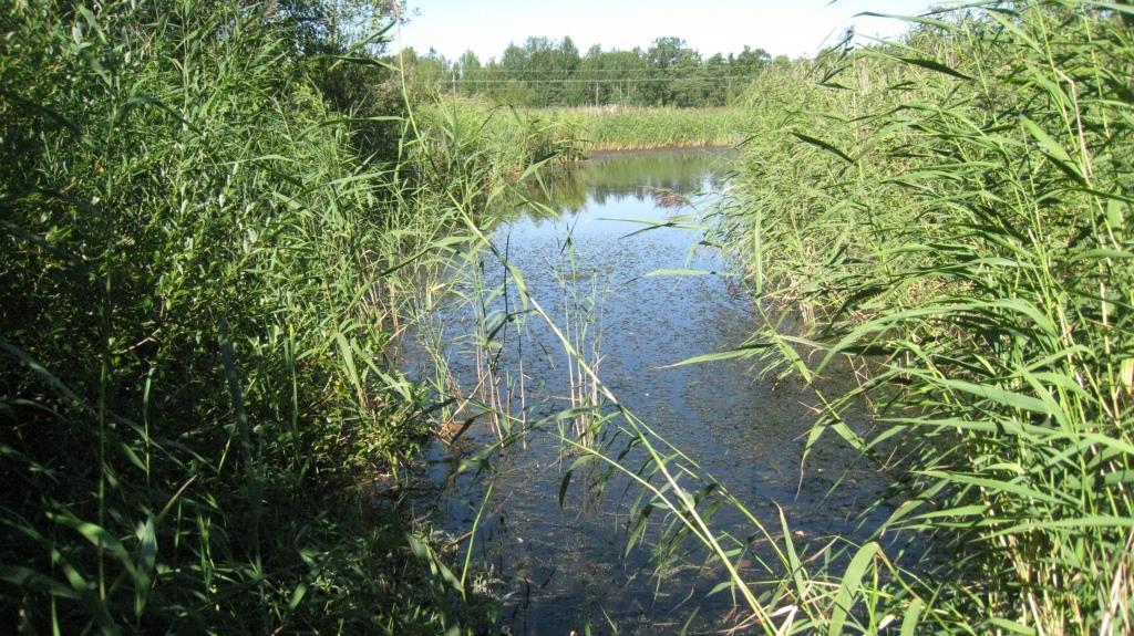 hyötyjä, vähän haittoja Omistajien mielipiteet Rajoitukset